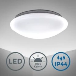 Plafoniera LED Da Soffitto, Lampada Moderna Resistente All'acqua Per L'illuminazione Da Interno, Luce Bianca, Corpo Metallo E Plastica Color Bianco, Circuito Piastrine 15W 230V IP44 9 Plafoniera LED Da Soffitto, Lampada Moderna Resistente All'acqua Per L'illuminazione Da Interno, Luce Bianca, Corpo Metallo E Plastica Color Bianco, Circuito Piastrine 15W 230V IP44 -Negozio al dettaglio Paulmann 20100737 3