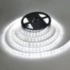 Striscia Led Luce Fredda Smd 5050 Con Alimentatore 5M Metri 300 Led Bianca -Negozio al dettaglio Paulmann 20649790 1
