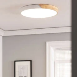 Plafoniera LED 36W Circolare Legno Ø500 Mm CCT Selezionabile Semi-Dari Bianco 9 Plafoniera LED 36W Circolare Legno Ø500 Mm CCT Selezionabile Semi-Dari Bianco -Negozio al dettaglio Paulmann 28163857 3