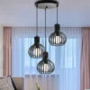Lampadari A Sospensione Retrò Lampadario Creativo Regolabile In Altezza 3 Luci Plafoniere Industriale Antica Presa E27 Nero -Negozio al dettaglio Paulmann 28894022 1