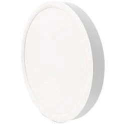 Plafoniera Led Soffitto 50W Lampada Rotonda Luce Fredda Applique Moderno Bianco -Negozio al dettaglio Paulmann 35113342 4