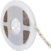 Striscia LED 24V DC 60LED/m 5m IP65 Larghezza 10mm Super Caldo 1700K 5 M120º -Negozio al dettaglio Paulmann 36628485 1