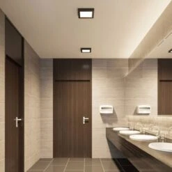 Prios Mazin Plafoniera LED, IP44, CCT, 24 W -Negozio al dettaglio Paulmann 51463029 4