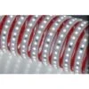 Nobile 5 Metri Striscia Led 238 Led/m 3000k Da Esterno 70102/c -Negozio al dettaglio Paulmann 53236201 1