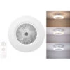 VENTILATORE PLAFONIERA LED 54CM 40W -Negozio al dettaglio Paulmann 53593814 1