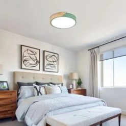 Plafoniera Rotonda Monocromatica Plafoniera Nordica Creativa Plafoniera A LED In Legno Massello Ultrasottile Da 5 Cm Per Soggiorno Camera Da Letto Corridoio Balcone Studio -Negozio al dettaglio Paulmann 58177040 3