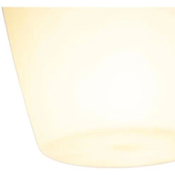 QAZQA Ventilatori Da Soffitto Wings - Moderno - Vetro,Plastico,Acciaio - Acciaio/Bianco/Trasparente - Tondo Max. 1 X Watt -Negozio al dettaglio Paulmann 60933825 4