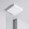 Plafoniera LED Quadrata 18W 225x225 Mm Bianco Freddo 6000K - 6500K 225 Mm120º -Negozio al dettaglio Paulmann 6471169 1