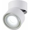 Faretto Orientabile Da Superficie 7W - Faretto LED Da Incasso 7 10CM Lampada Da Soffitto Con Angolo Regolabile Lampada COB, Ruotabile A 360° (bianco-6000K) [Classe Di Efficienza Energetica A+] -Negozio al dettaglio Paulmann 67909062 1
