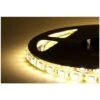 Striscia Led 12v Bobina Adesiva Luce Calda 5m Strip Interna Esterna Tagliabile -Negozio al dettaglio Paulmann 6968287 1