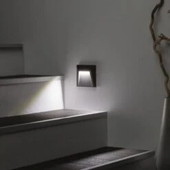 Segnapasso LED Da Superficie Clover IP65 1.5W Grigio Bianco Freddo 6000K 33 Mm -Negozio al dettaglio Paulmann 8566595 5